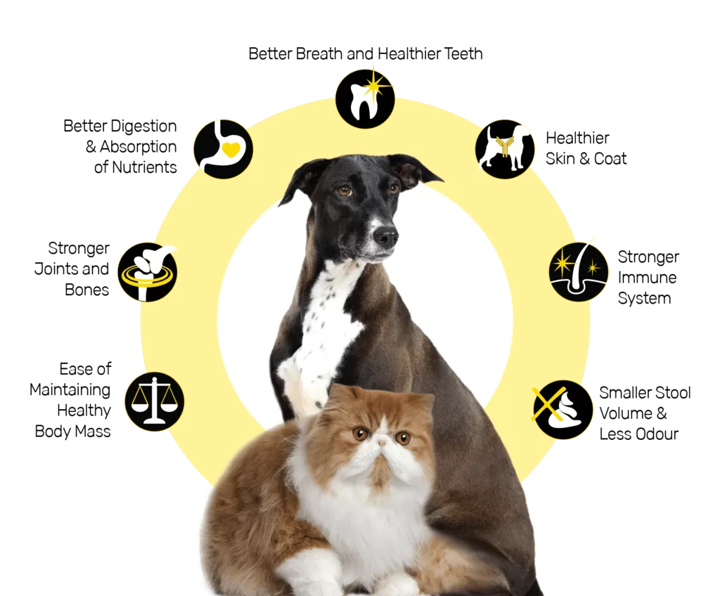 Home page dog circle 03