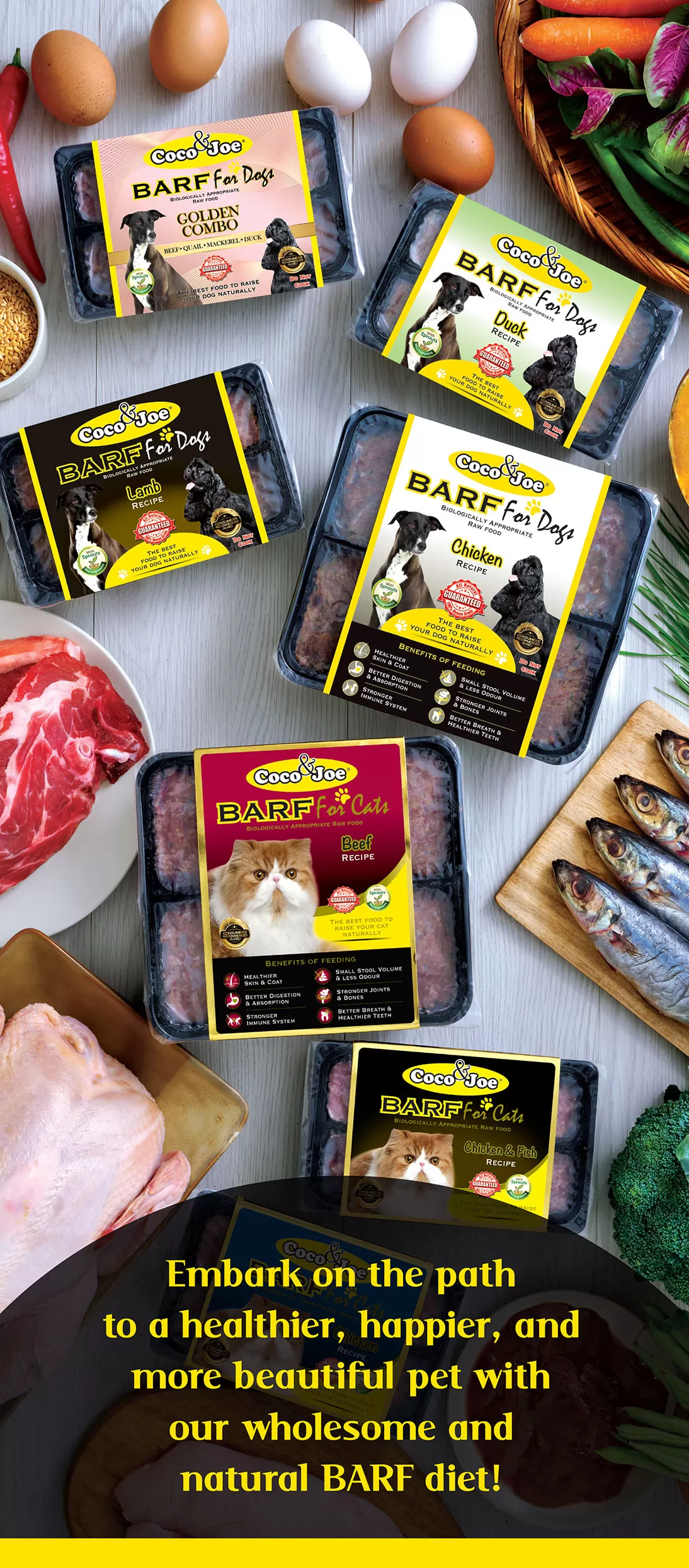 00 Home page header Mobile view 1125X2560pixels A